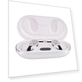 AI Translator Earbuds — In-Ear Headphones, Wrigleys