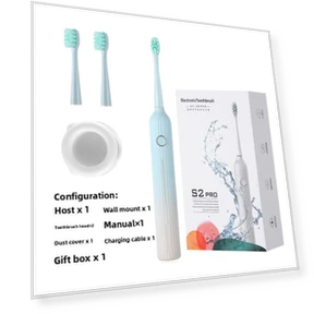 Electric Toothbrush with Color TFT Screen — Chargers, Binchi Health Technology