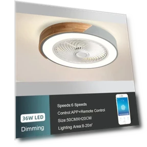 Smart Ceiling Fans With Light — Ceiling Fan Lighting Solutions, Good Household Items