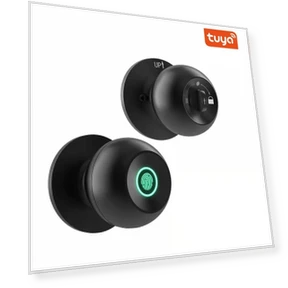 Smart Door Handle with Fingerprint — Biometric Security, Crown Global