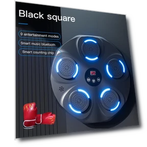 Smart Music Boxing Trainer — Boxing Training Gear, Booster boluojun