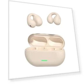 Wireless Bluetooth Headphones — In-Ear Headphones, Rookiet