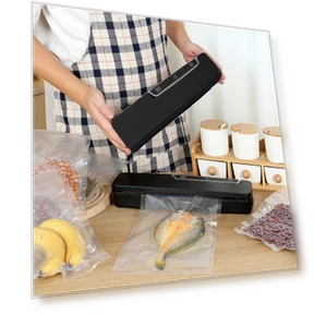 Automatic Vacuum Sealing Machine — Vacuum Sealers, Refreshing Home