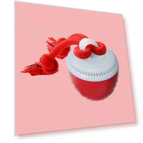 Electric Interactive Dog Toy Ball — Toys, lingfeng