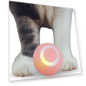 Interactive Cat Toy Ball — Cat Playthings, Holland Lec