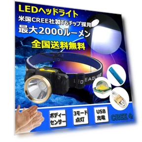 LED Headlamp Flashlight — Headlamps, MIYAKO DENKI