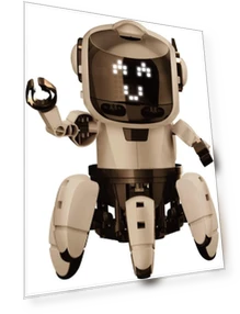 Programming Follow Speak Robot Craft Independent Research Plastic Model Educational Kit — Educational, Elekit