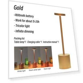 Rechargeable Touch LED Desk Lamp — Study & Desk Lighting, YWZT Decorative lights