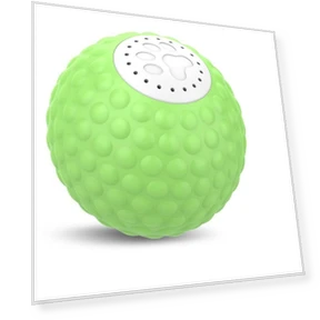 Smart Ball for Dogs — Balls, Refreshing Home