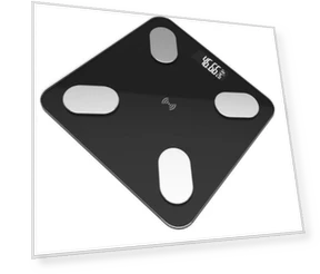Smart Body Index Scale — Weight Management Tools, Essager Electronic