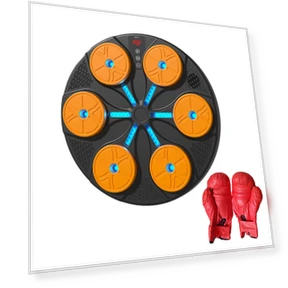 Smart Boxing Target — Boxing Training Gear, Binchi Keji Travel