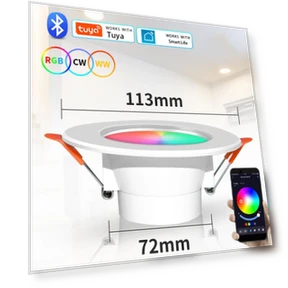 Smart Ceiling Light — Lighting Accessories, Cosy Homes