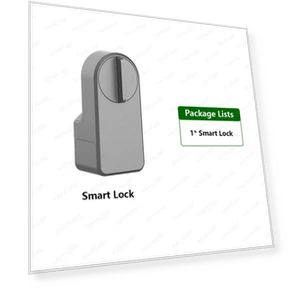 Smart Lock — Access Control Keypads, RAYKUBE