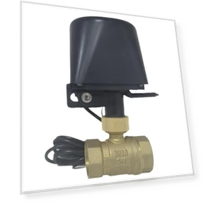 Smart Water Valve Controller — Controllers, ToolCraft