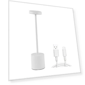 Wireless Desk Lamp with 3 Color Temperatures — Study & Desk Lighting, Pleasure Holiday