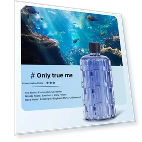 Automatic Aromatic Machine — Air Moisturizers, Cozy Cottage-Relax