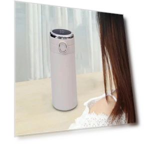 Insulated Large Capacity Drinkware Cup, Smart Temperature Drinking Bottle — Travel Drinkware, Toy Story