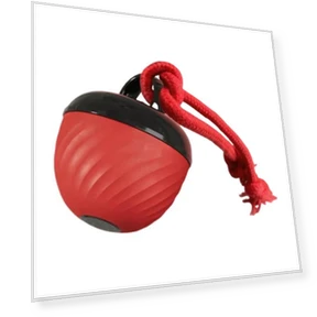 Interactive Dog Ball Toy — Toys, TaiKan