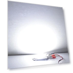 LED COB Spotlight — Garden Illumination, Rainbow Rain