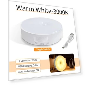 Motion Sensor LED Night Light — Night Lights, Generic