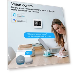 Smart Temperature Controller — Smart Climate Control, Painter