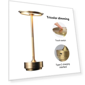 Vintage Rechargeable Touch LED Desk Lamp — Desk & Table Lighting, Homedepot