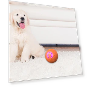 Automatic Moving Smart Ball Dog Toy — Automatic Launchers, SunshineTek