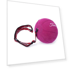 Smart Golf Swing Trainer Hand Corrector — Strength Trainers, EchoMart