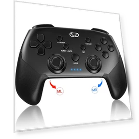 Wireless Controller for Switch/Lite/OLED — Gaming Controllers, Super Dream Home