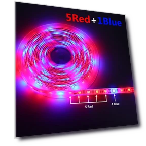 LED Grow Light Strip with Touch Switch — Growing Lamps, MALITAI