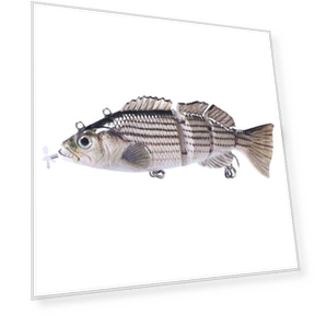 Robotic Fishing Lure — Artificial Bait, leayond