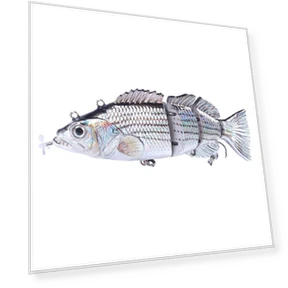 Robotic Fishing Lure — Artificial Bait, leayond