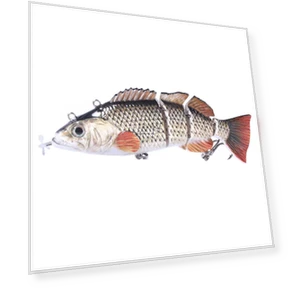 Robotic Fishing Lure — Artificial Bait, leayond