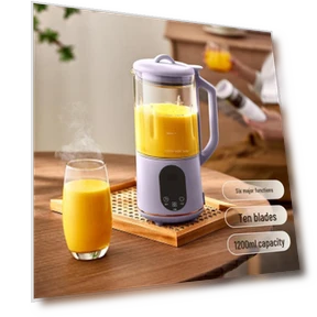 Silent Soy Milk and Kitchen Processor — Kitchen Helpers