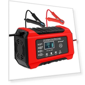 Smart Pulse Battery Charger — Battery Chargers, Lntelligent Living Hall