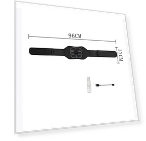 Smart Waist Massager Belt — Back Relief Solutions, TrendVibeCN