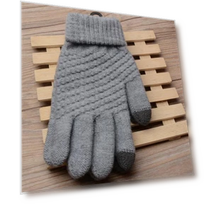 Winter Warm Full Finger Touchscreen Gloves for Women — Gloves, KaiTingu