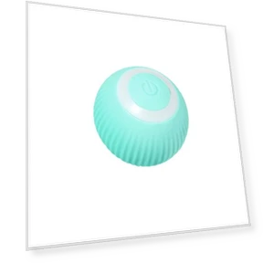 Interactive Cat Ball — Cat Playthings, BC Pet Supplies