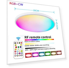 Smart Home Lighting WiFi Remote Control — LED, RuKing