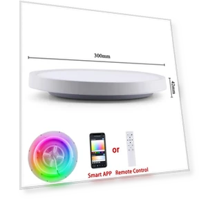 Smart LED Ceiling Light — Overhead Lighting, Actually lighting