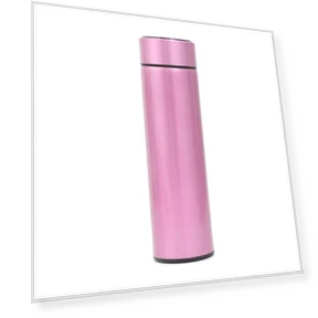 Smart Water Bottle — Hydration Essentials, Mango Event