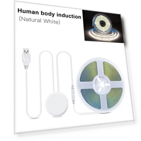 USB COB LED Strip Light with Touch Sensor Dimmer — LED Strips, AIMINGTE Light Accessories
