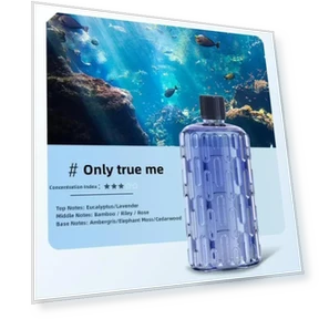 Automatic Aromatic Machine — Air Moisturizers, Cozy Cottage-Relax