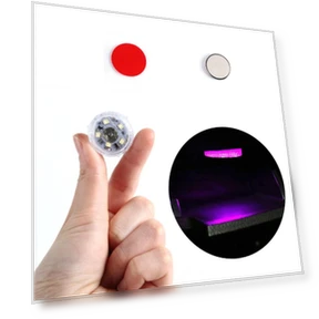 Automotive LED Touch Lights — Courtesy Lamp, Timeless Home