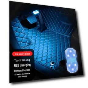 Car Ambient Light with Voice Control — Car Essentials, TopSky