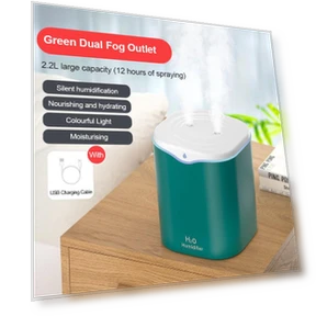 Double Air Humidifier with Spray — Air Moisturizers, Leisury