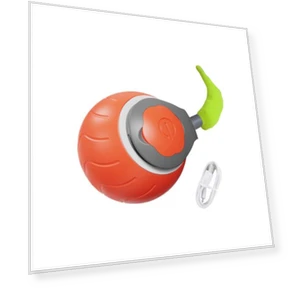 Electric Ball for Cats — Cat Playthings, I love My Pet