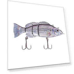 Electronic Robotic Fish — Traps, Luminaire Lighting Mall