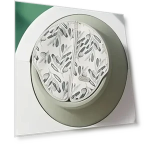 Smart Curtain for Litter Box — Litter, Rainbow Rain