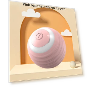 Smart Interactive Bouncing Ball for Pets — Balls, GYROBALL
